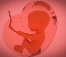 给婴幼儿郑州捐卵宝宝添加辅食应避免“四大罪过”
